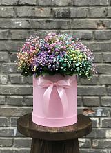 Цветочная композиция из Гипсофила и Розы в шляпной коробке #REPLACE_PRED# Терекли-Мектебе