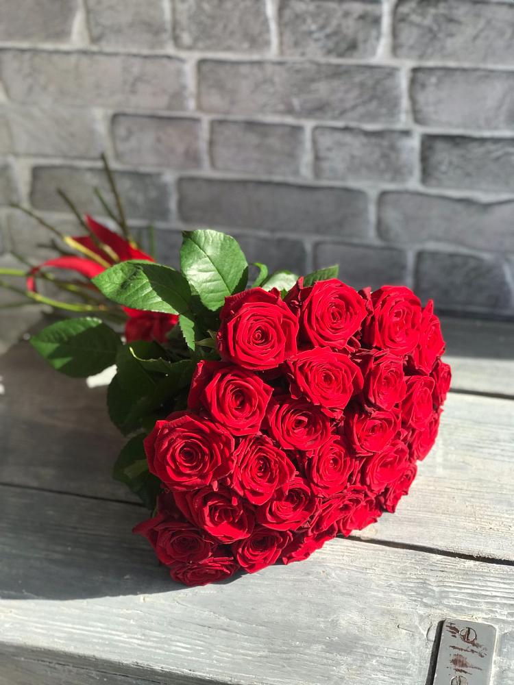 Букет Красные розы Фридом в Терекли-Мектебе