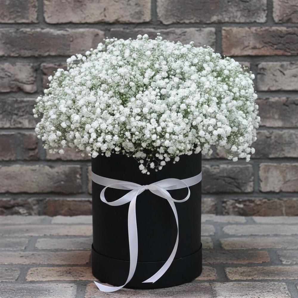 Цветочная композиция из Гипсофила в шляпной коробке в Терекли-Мектебе