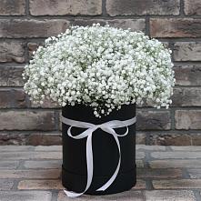 Цветочная композиция из Гипсофила в шляпной коробке в Терекли-Мектебе