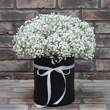 Цветочная композиция из Гипсофила в шляпной коробке в Терекли-Мектебе