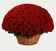 Премиум букет из: Розы в Терекли-Мектебе