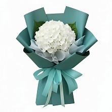 Букет цветов из:  Гортензия в Терекли-Мектебе